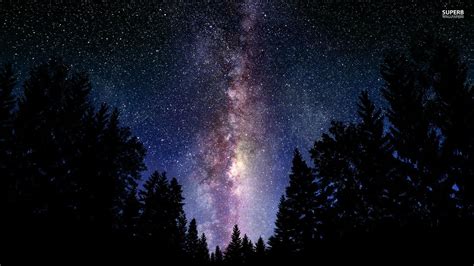Vía Láctea Desde El Bosque