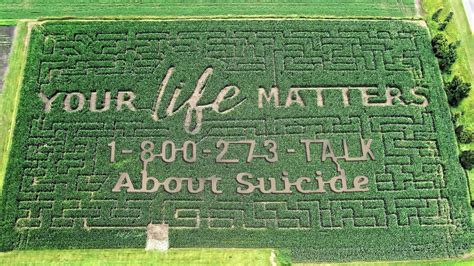 Suicide Prevention Hotline 1 800 273 Talk Part Of Wisconsin Corn Maze
