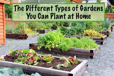 The Different Types Of Gardens You Can Plant At Home Sumo Gardener