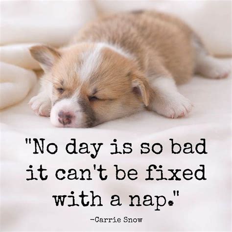 Nap Quotes Nap Sayings Nap Picture Quotes