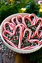 Candy Cane Hearts - Dinner at the Zoo