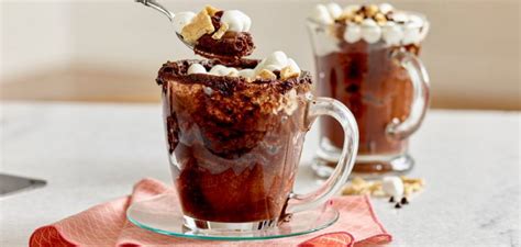 Chocolate Marshmallow Mug Cake Recipe Newstrack English 1