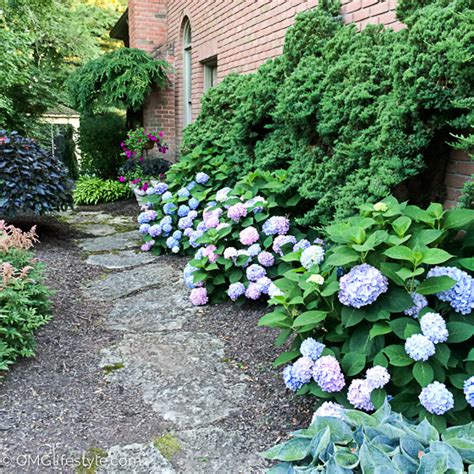 You'll need to take a few extra steps beyong snipping your stems and throwing them in a face, but trust us: Great Tip for Making Cut Hydrangeas Last Longer