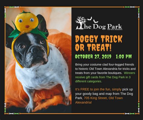 Doggy Trick Or Treat Fibre Space