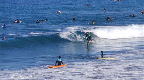 Surf Blog Top 5 Beginner Surf Beaches In The Canary Islands