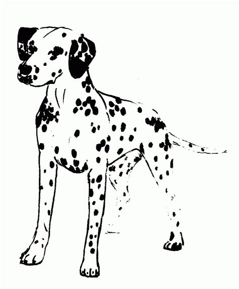 Dalmation Dog Coloring Page