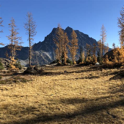 Cle Elum River Campground Wa The Dyrt