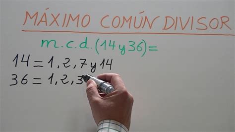 Calcular Los Divisores De Dos Números Para Hallar El Máximo Común Divisor Mcd Youtube