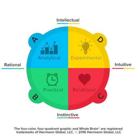 Thinking Style And Preferences Report For Embracing Thinking Diversity