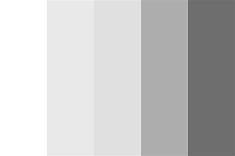 White And Grey Color Palette