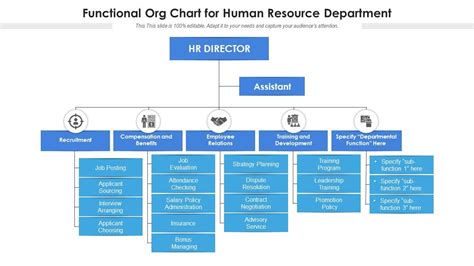 Functional Org Chart For Human Resource Department Presentation