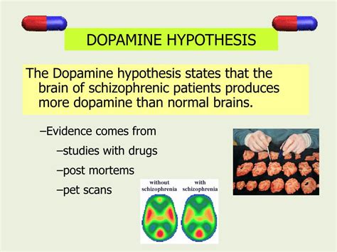 Ppt Describe And Evaluate Biological Explanations For Schizophrenia