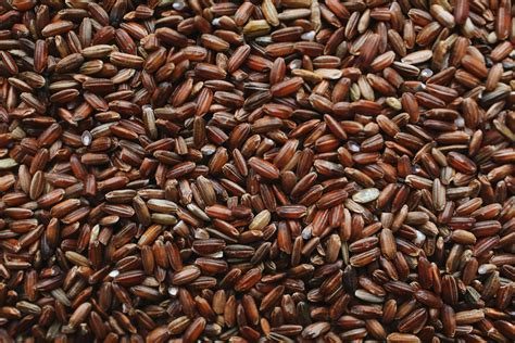 Close Up Photo Of Brown Rice · Free Stock Photo