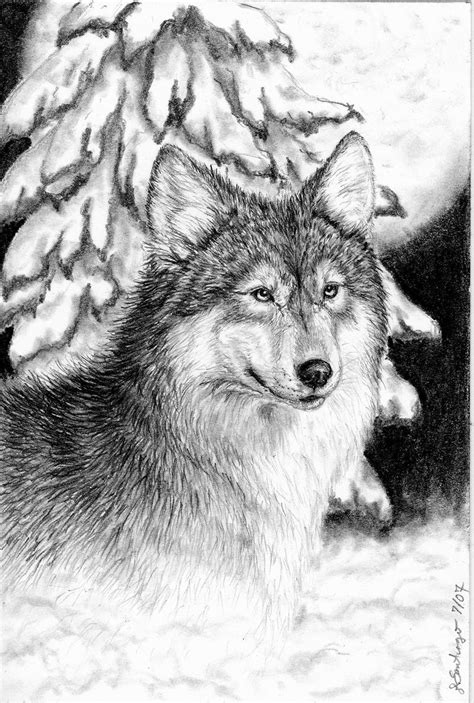 Wolf Moon By Celestriastars On Deviantart