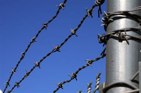 Barbed Wire Fence Free Stock Photo - Public Domain Pictures