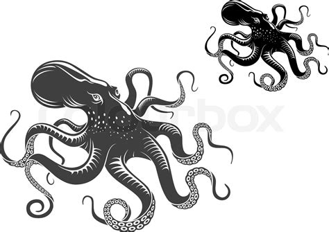 Giant Octopus Stock Vector Colourbox