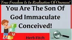 Pine Citys Divine Revelation Unveiling The Immaculate Conceptions Secret