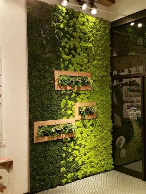 Diy Moss Wall Art How To Bring Nature Into Your Home Where Design