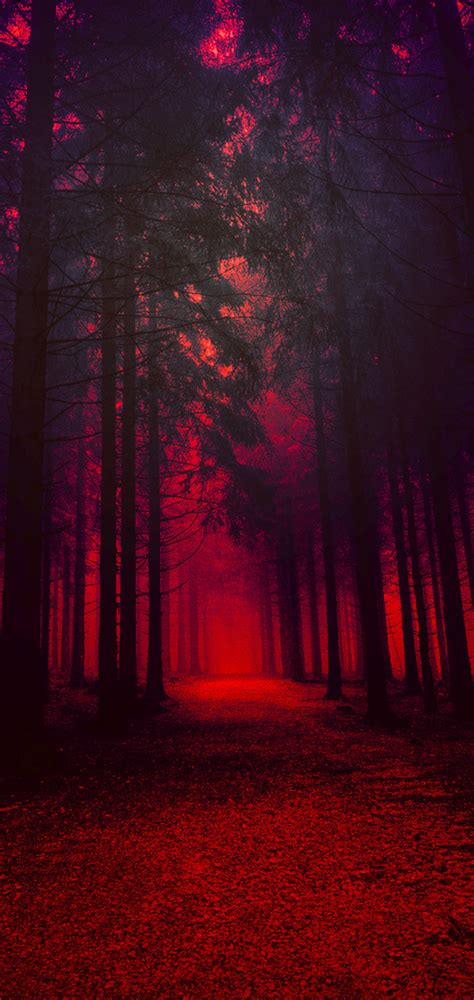 1080x2280 Artistic Red Forest One Plus 6huawei P20honor View 10vivo