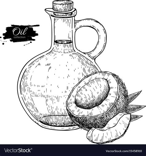 Bottle Of Coconut Oil Hand Drawn Royalty Free Vector Image
