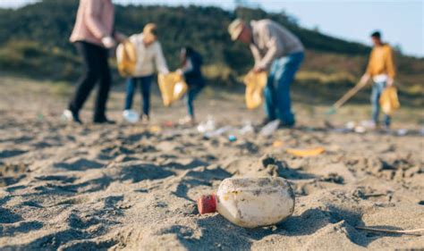 Best Beach Clean Up Stock Photos Pictures And Royalty Free Images Istock