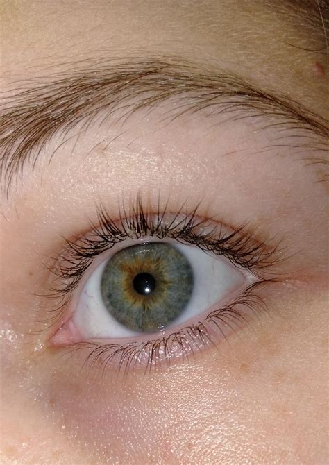 Hazel Eyes Or Central Heterochromia Ive Always Thought That I Have