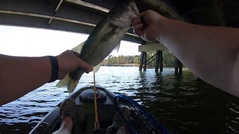 Lake Wylie Bass At Allison Creek 10122019 Youtube