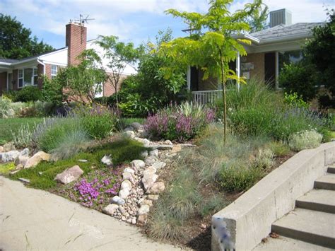 Considering Drought Tolerant Landscaping For Cheap And Beautiful Gard