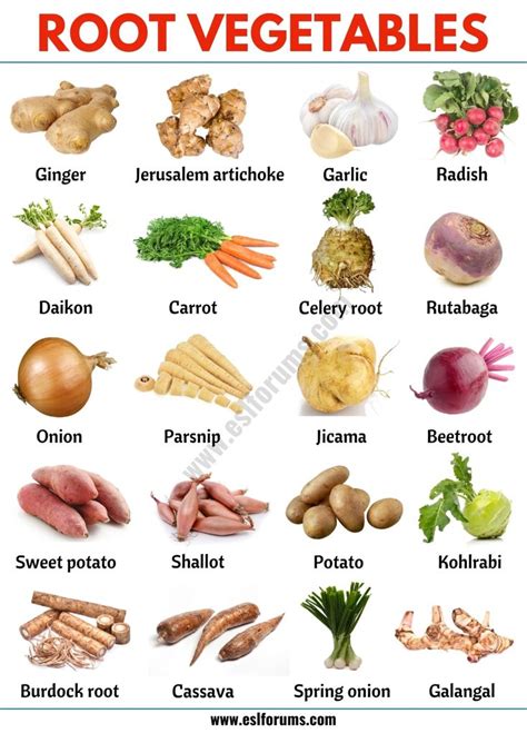 Root Vegetables List Of 20 Root Vegetables With Esl Picture Esl