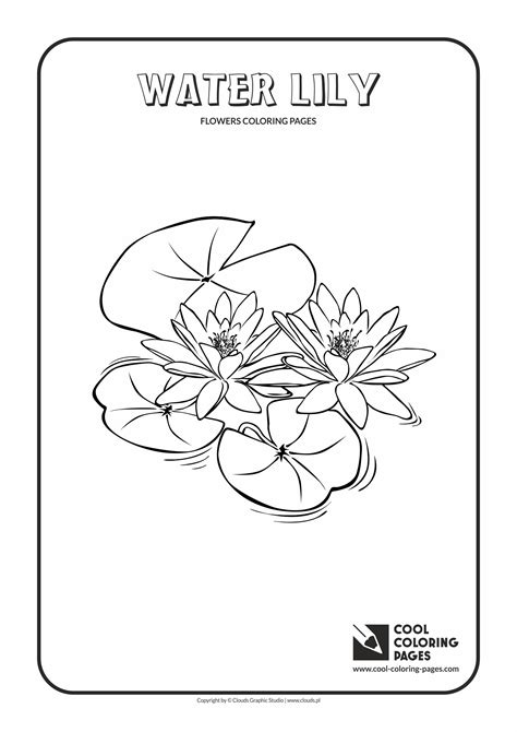 73 best flower coloring pages images on. Cool Coloring Pages Flowers coloring pages - Cool Coloring ...