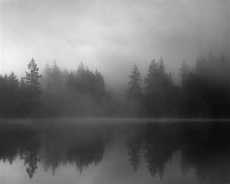 Black And White Trees Photo Fine Art Landscape Fog Mist Etsy