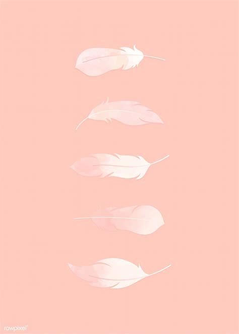 Pink Watercolor Lightweight Feather Collection Vectors Premium Image