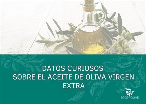 ecoprolive datos curiosos sobre el aceite de oliva virgen extra