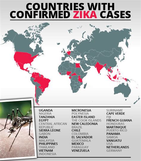 Breaking Head Shrinking Virus Zika In Ireland After First Us Case