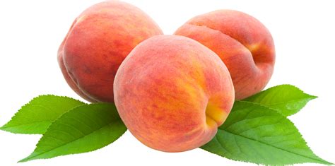 Peaches Png Image Purepng Free Transparent Cc0 Png Image Library