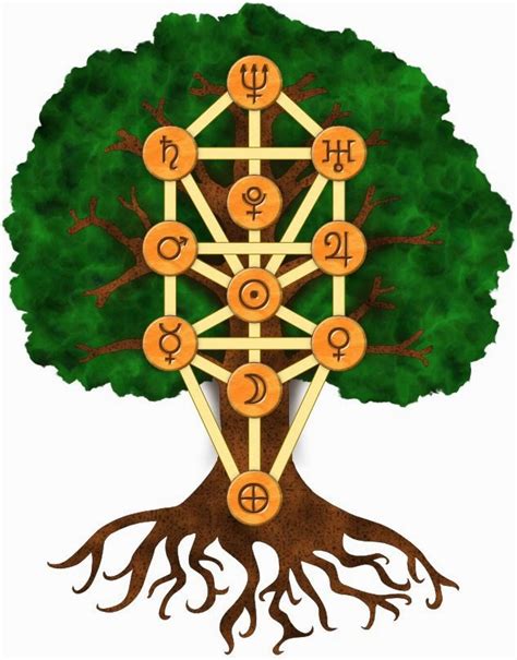 Wisdom Update Tree Of Life 2