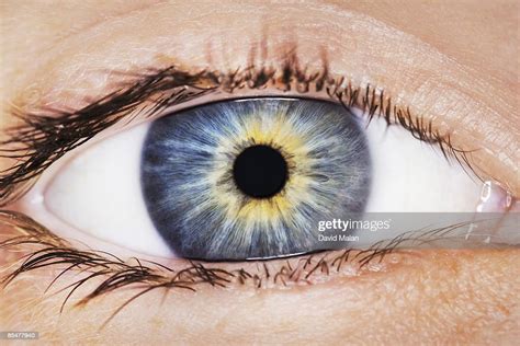 Closeup Of Human Eye Stock Photo Getty Images