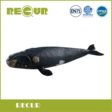 Recur Toys Original Design North Pacific Right Whale Sea Life High