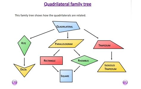 6 Types Of Quadrilaterals
