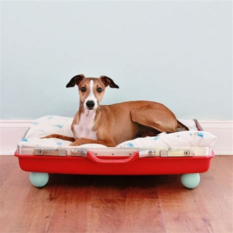 Cool Diy Dog Beds With A Fancy Twist