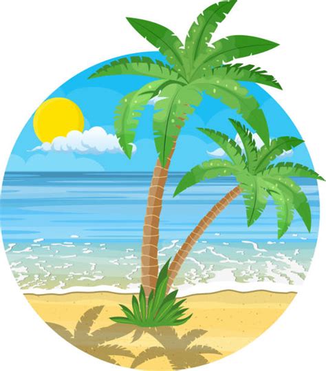 Palm Tree Beach Cartoon Illustrations Royalty Free Vector Graphics