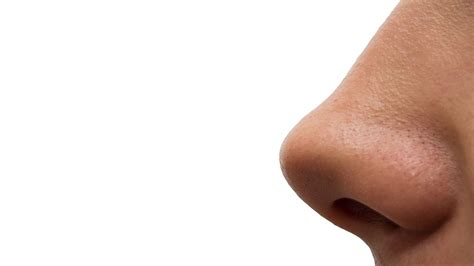 The human nose is the most protruding part of face. Five genes that give your nose its shape | Science | AAAS