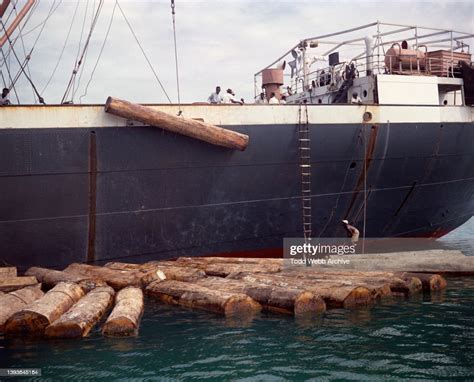 Floating Timber As It Is Loaded Onto A Cargo Ship Takoradi Ghana