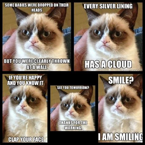 Grumpy Cat No Meme Grumpy Cat Quotes Grumpy Cat Meme