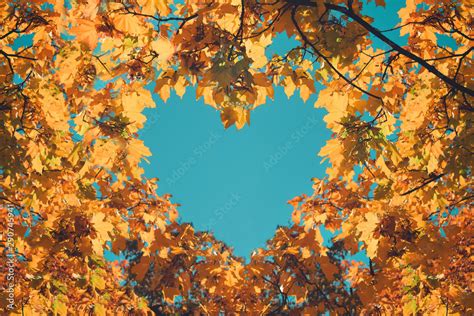 Autumn Fall Love Background Orange And Yellow Leaves In Heart Shape Of