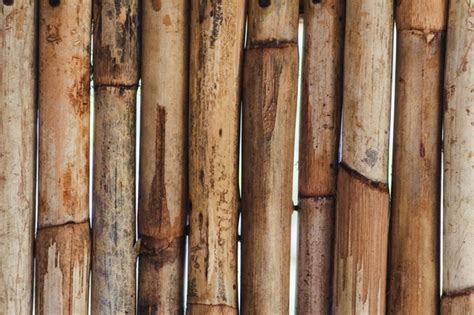 Premium Photo Bamboo Wall Or Bamboo Fence Texture Background Close