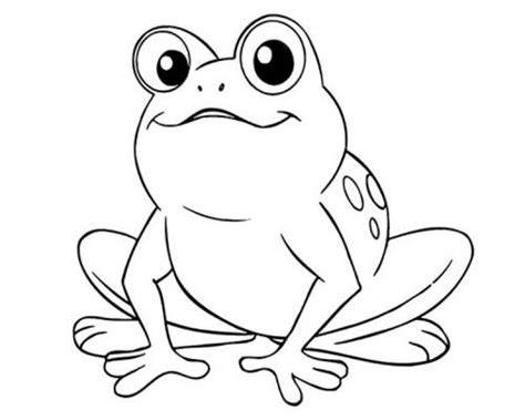 Gambar Katak Untuk Mewarnai Anak Paud Frog Coloring Pages Animal Riset