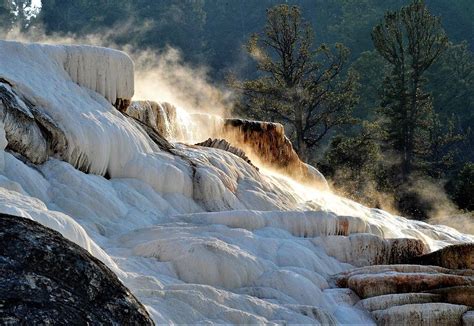 Steaming Waters Mammoth Hot Springs Photograph By Heidi Fickinger