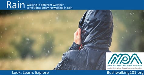 Walking In Different Weather Conditions Bushwalking 101