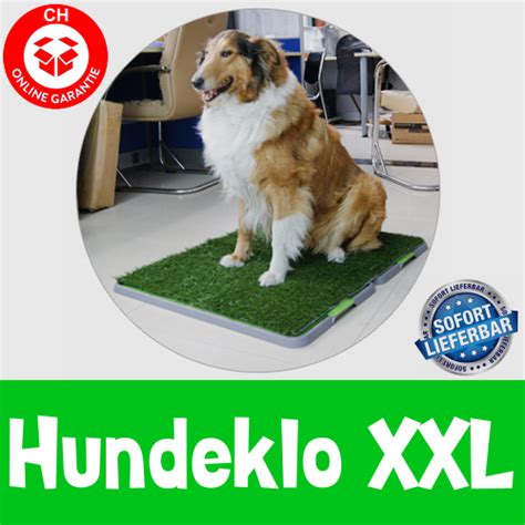 Ich sah in dem onlinebestellshop ein stück rasen mit einem roten hydranten und einem hund abgebildet, der sein beinchen hebt und auf dem mobilen hundeklo sein geschäft verrichtet. Hunde Hunde Klo WC XXL Grösse Hundeklo Welpentoilette ...